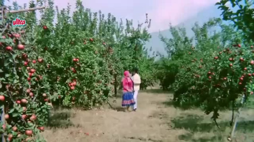 ⁣✨_ये_पर्दा_हटा_दो_4K_Mohammed_Rafi___Asha_Bhosle___Sanjay_Khan___Sadhana___Romantic_Hindi_Song(360p)