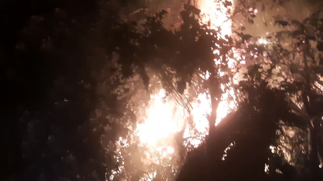 ⁣Holika dahan 2026 | होलिका दहन 2026 | technical kishor