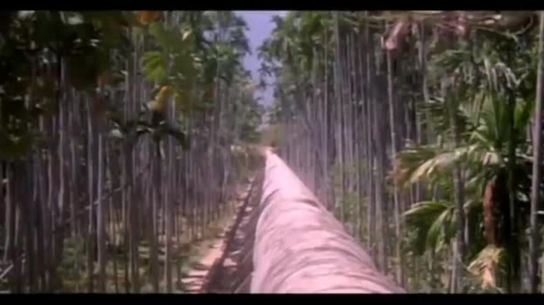 ⁣VID-20260228-WA0033