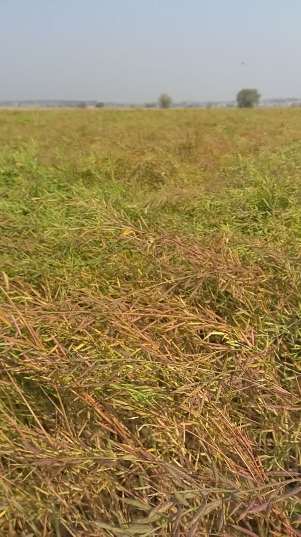 VID_20260301_100013680