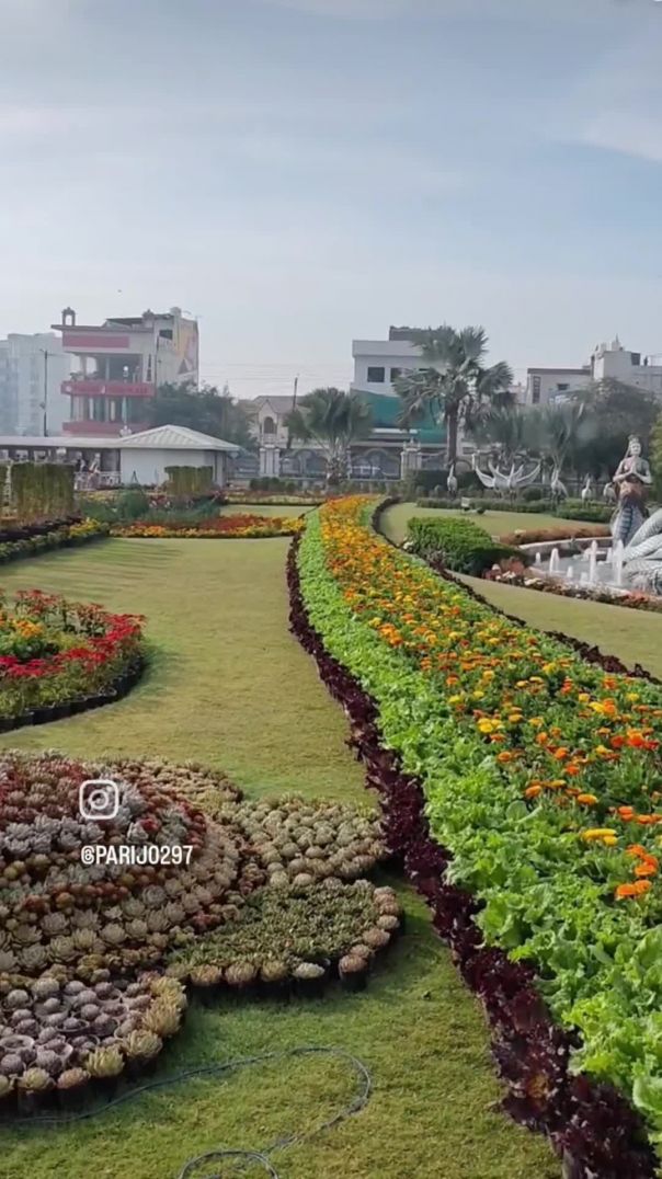 VID_20260310_204638_635