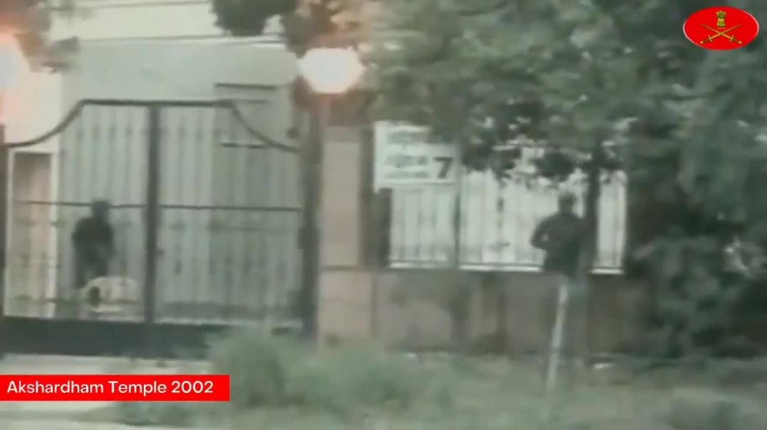 ⁣i_2011728376583897456(720P)