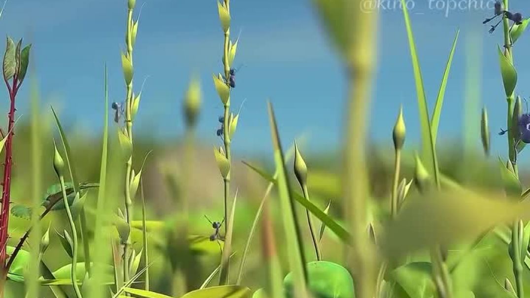 ⁣Best cartoon funny video