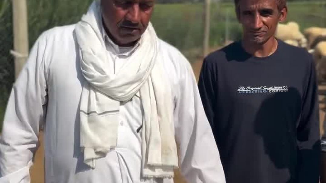 ⁣youngfarmersrs-2026