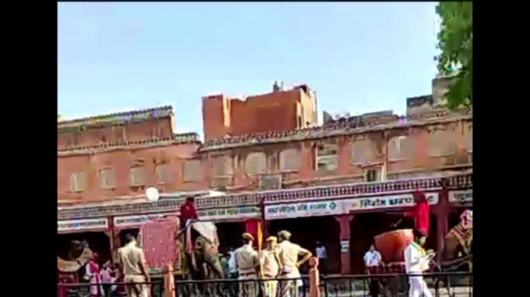 ⁣जयपुर में रैली 🐪🐘💃🕺