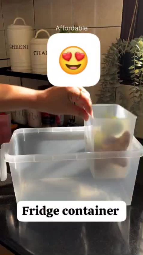 Fridge container