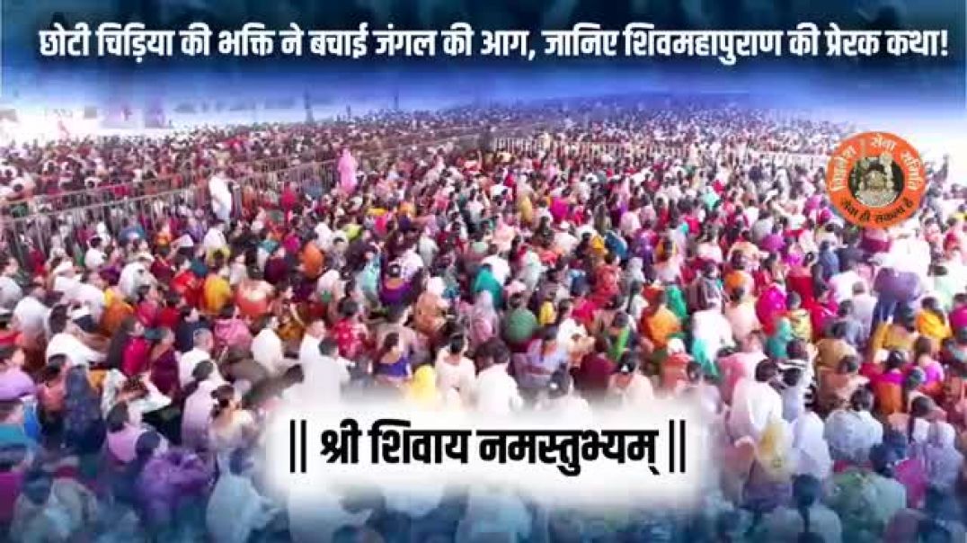 ⁣छोटी चिड़िया की भक्ति ने बचाई जंगल की आग, जानिए शिवमहापुराण की प्रेरक कथा!