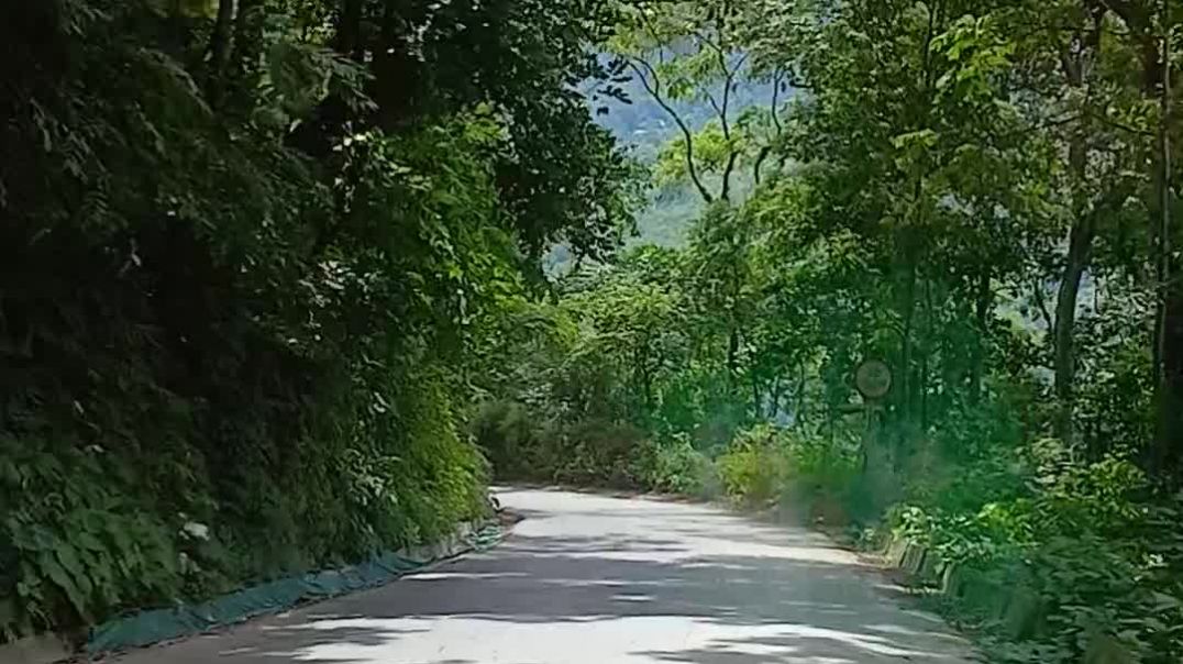 ⁣Wild is glory of nature