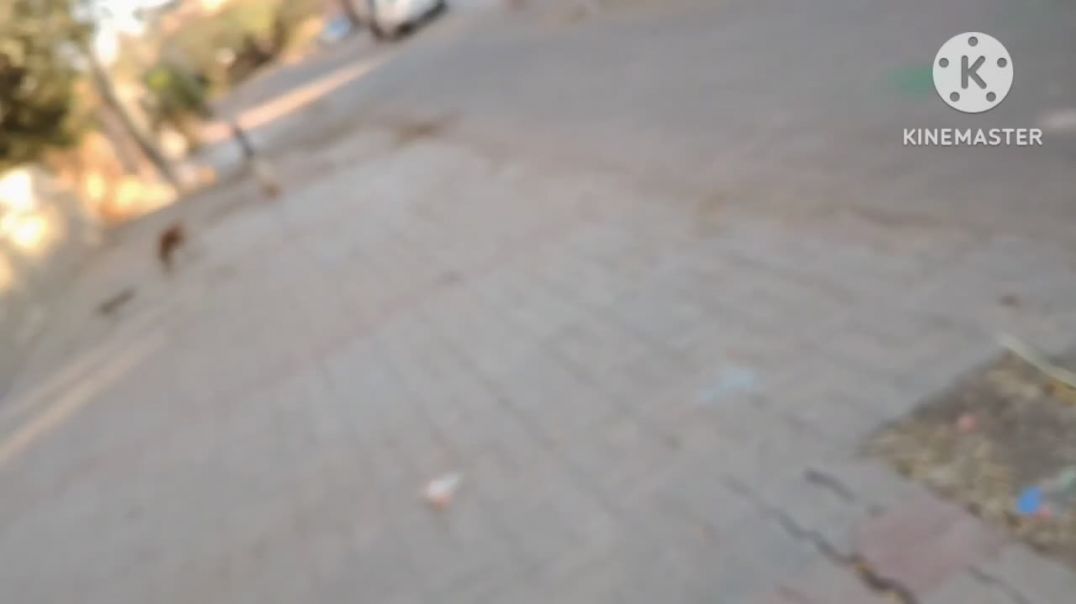 km_20260305_720p_30f_20260305_202817