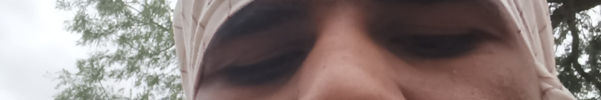 112120512570575383084 