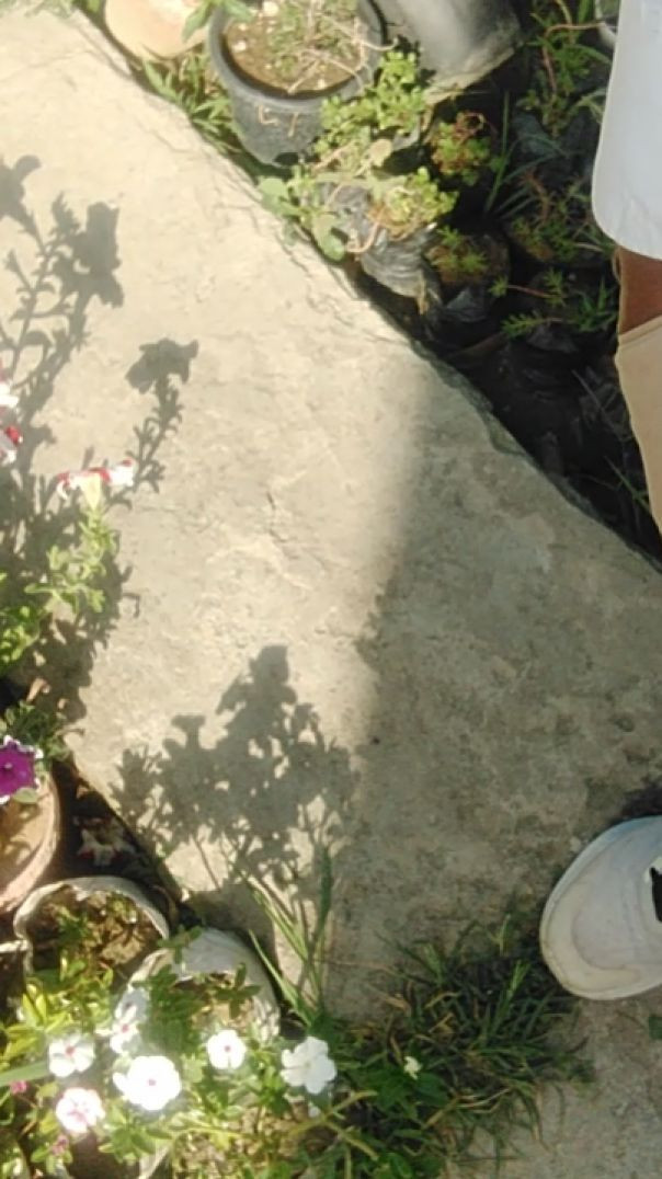 ⁣⁣Haribaag Nursery Visit Ram Nagar, Varanasi