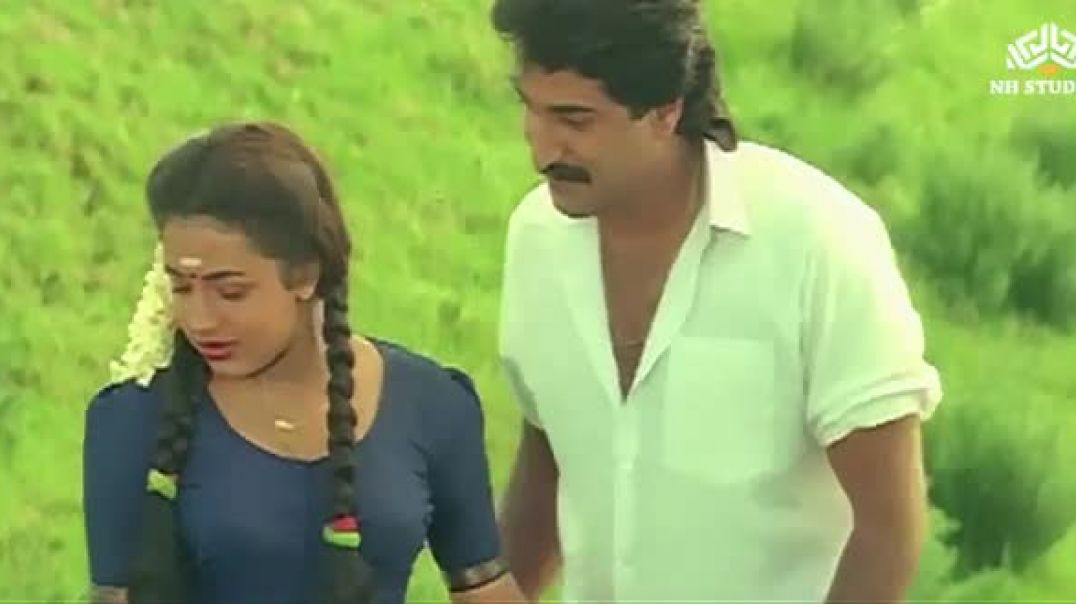 ⁣VID-20260226-WA0033