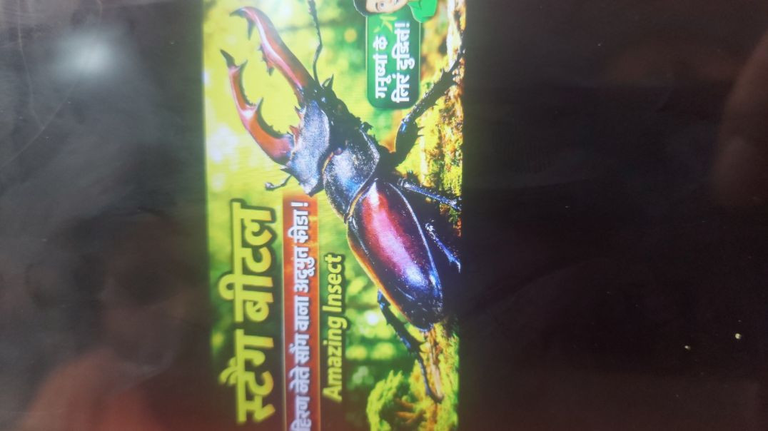 ⁣“क्या सच में Stag Beetle की कीमत 80,00,000 रुपये है? 😲”@Educatormanoj
