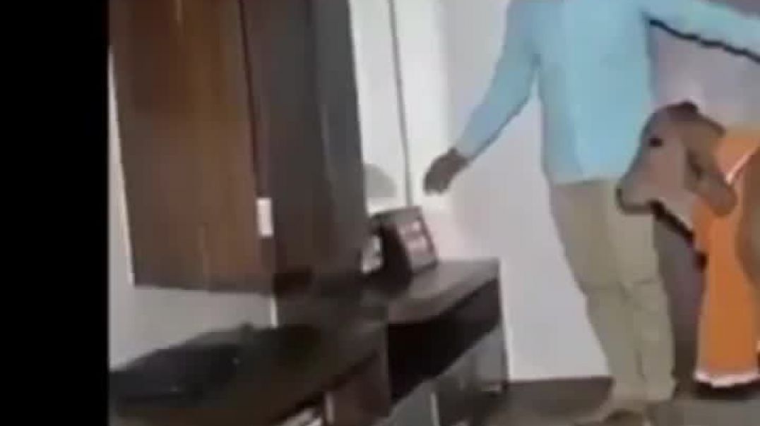 गौमाता _gomata