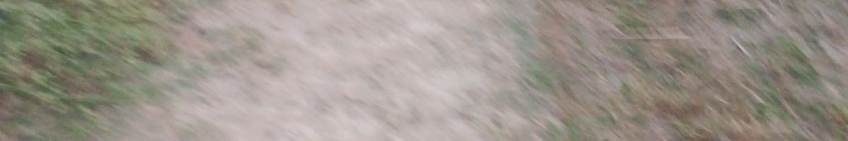 QUICK_TOONZ QUICK_TOONZ