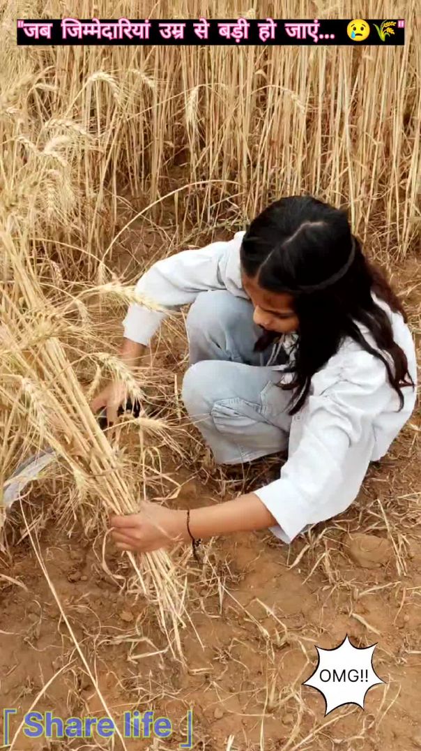 "दुपहरी की तपती धूप में मेहनत करते नन्हे किसान ❤️🌾"#reallife #hardwork #villagelife