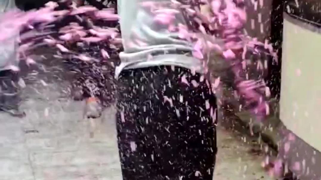 ⁣Happy holi funny😆🤣🤣 video family