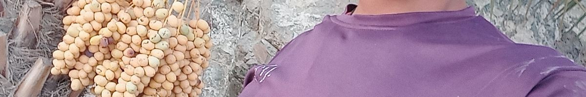 105989805428761768353 