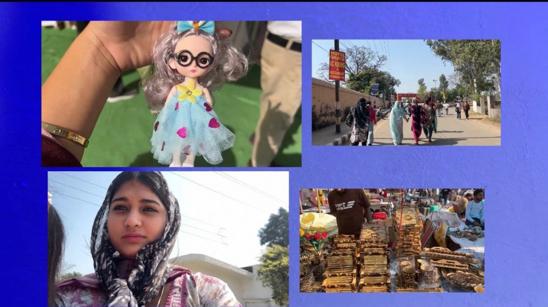 ⁣Sheesh Mahal Patiala mela 2026