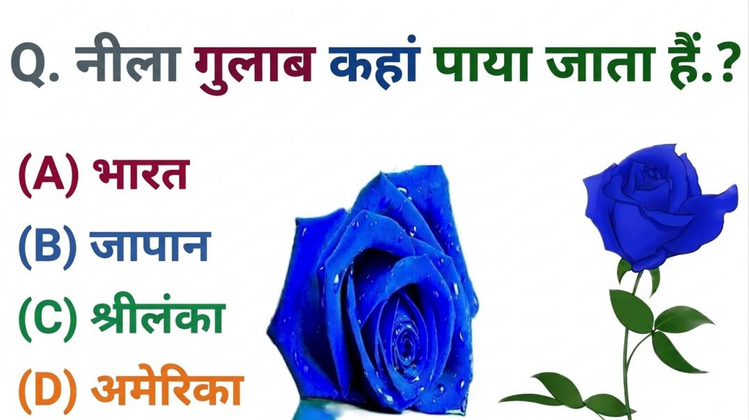 ⁣GK Question || GK In Hindi || GK Question and Answer || GK Quiz || Riya Rawani  18||