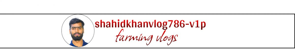 shahid121
