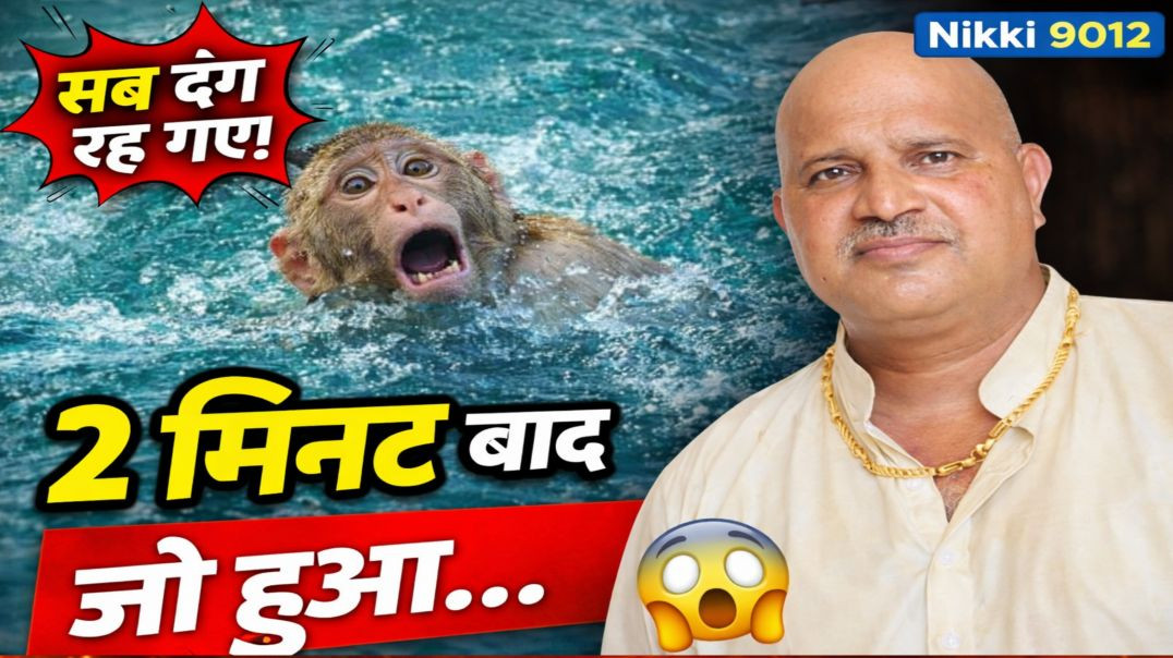 👉 बंदर को नदी में फेंका… 2 मिनट बाद जो हुआ, देख सब दंग रह गए 😳 | जिंदगी का सबसे बड़ा सच | BP Singh |