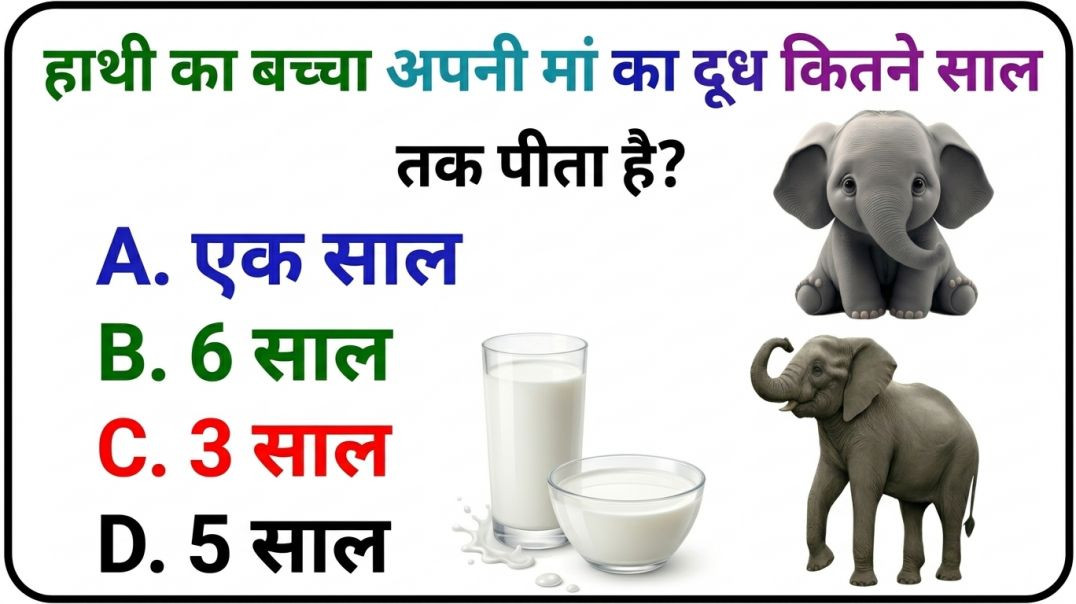 ⁣GK Question || GK In Hindi || GK Question and Answer || GK Quiz || Riya Rawani 14 ||