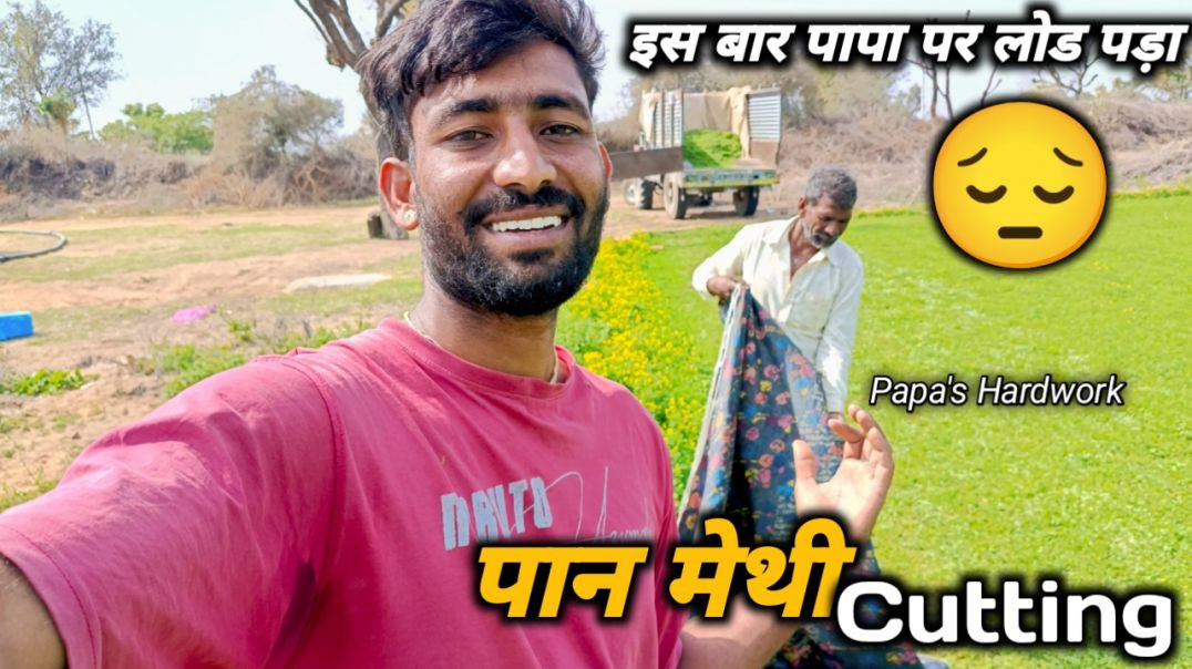 ⁣मेथी की कटिंग कैसे करें_ _ 9 बार कटिंग हो गई, 12 बाकी! _ Village Life India