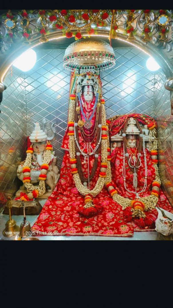 जय माँ पल्लु धाम ❣️👏🙇‍♂️🚩