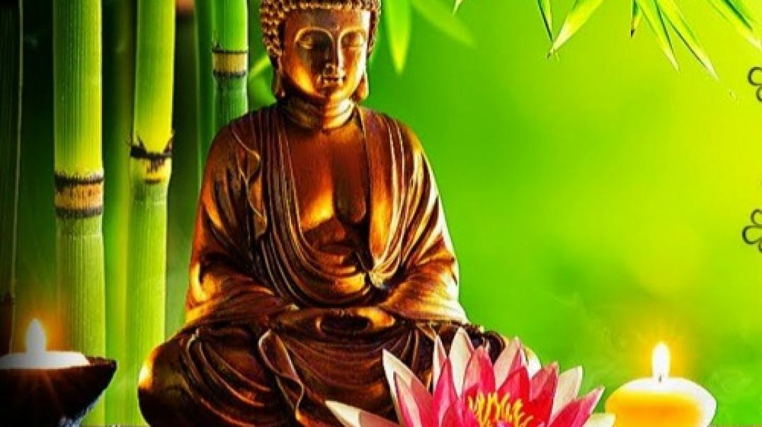 ⁣Relaxing music_ Meditation Music_ Nature Sound