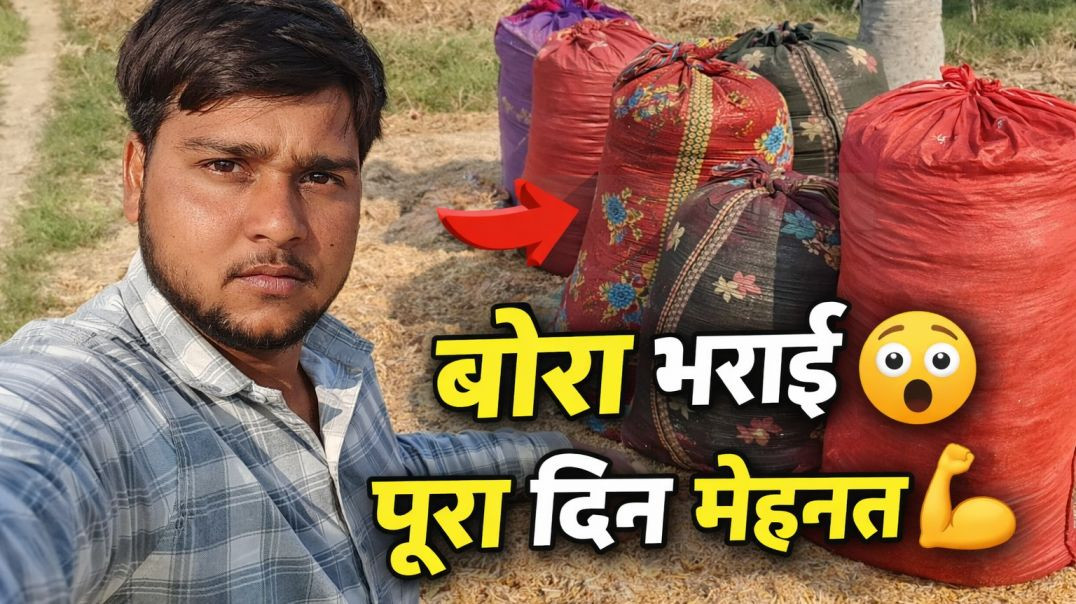 ⁣बोरा भर के लाए गेहूं का भूसा 😲 | गांव की असली लाइफ | Vlog