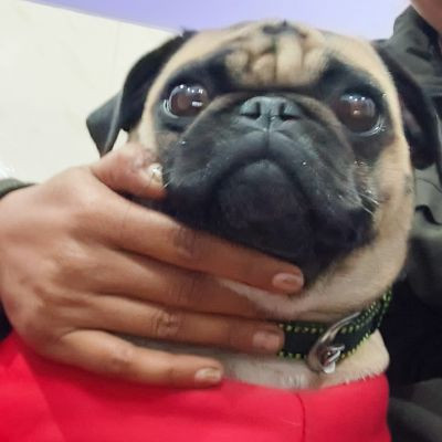 110352207037772289576 