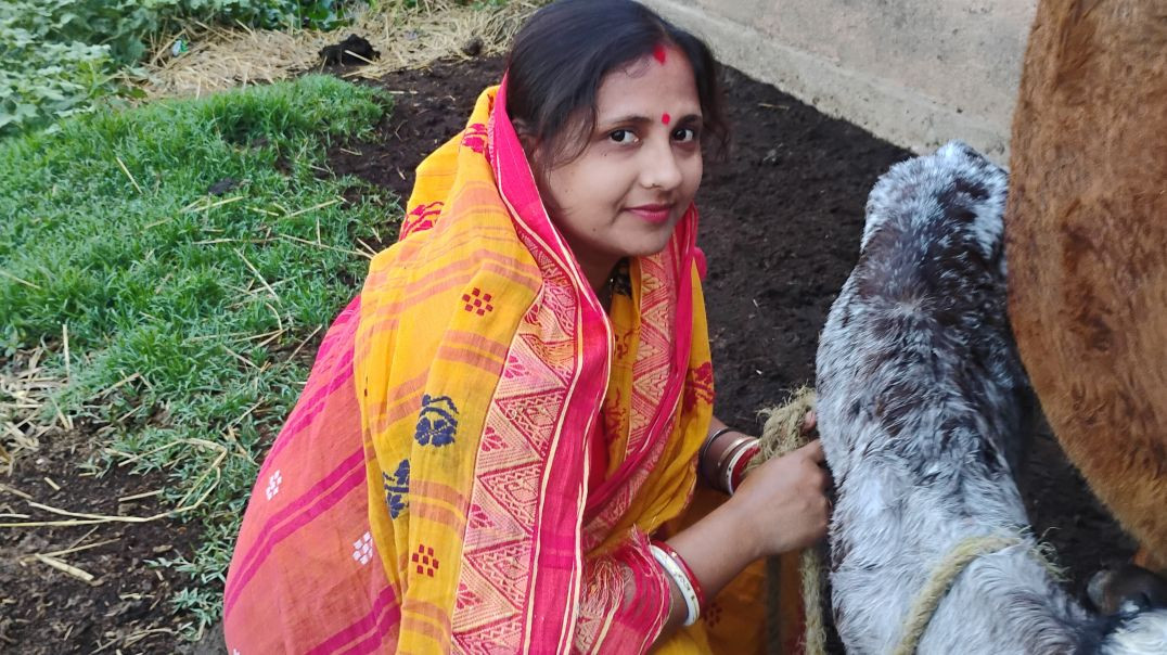 ⁣Our Village Daily Life # familyvlog #cowmilking#villagelife
