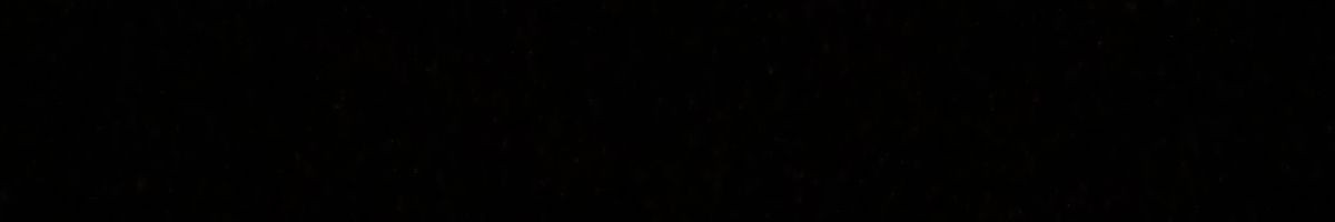 111659444158618056990 