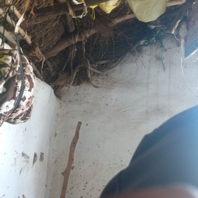 108081505815707982420 