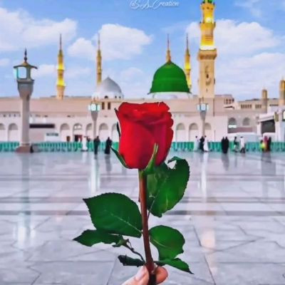 106994577668911465000 