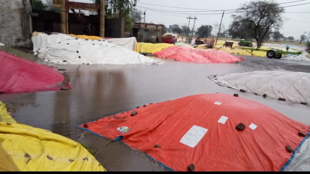 एक बड़ी चीज फंस गई है!