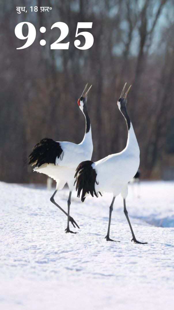 भक्ति मार्ग