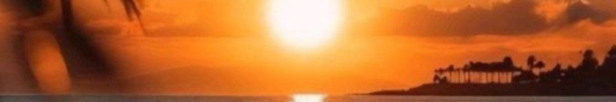 107597035379648178798 