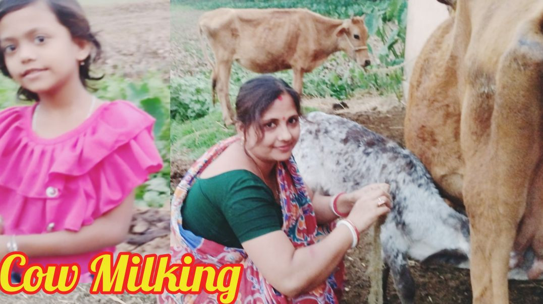 ⁣Village Cow Care and Milking #villagelife#familyvlog #dailyvlog
