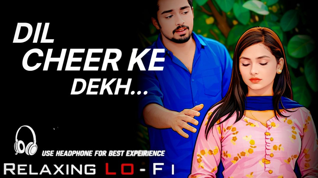 ⁣Dil Cheer Ke Dekh | Slowed + Reverb | Relaxing Lo-Fi Song | Use Headphones 🎧