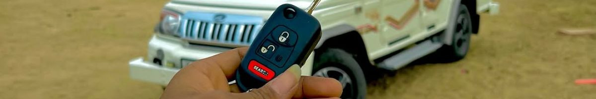 117519618290263750232 