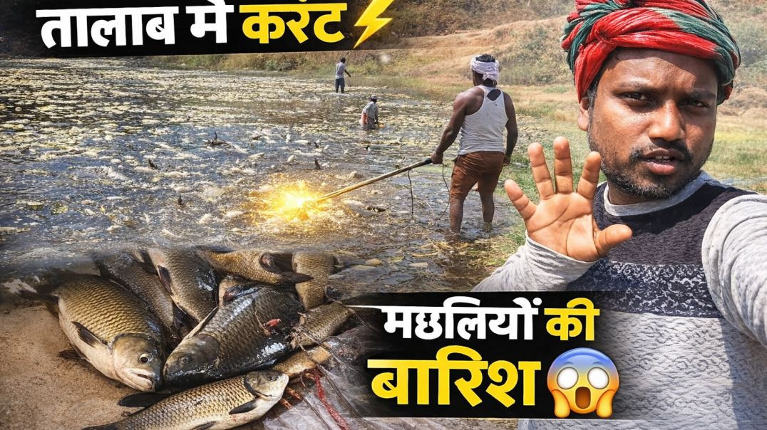 ⁣Electric Fishing in Pond | तालाब में करंट डालकर मछली पकड़ना DKY7316