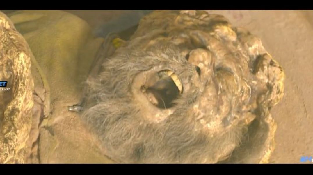 ⁣Cold-Storage-(2026)-Hindi movie