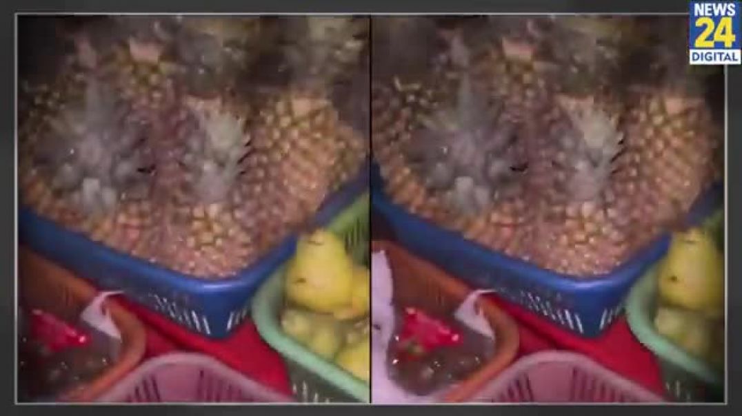 Mumbai_में_Fruit_Vendor_ने_Fruits_में_मिलाया__Poision_!_इन_दुकानदारों_से_सावधान___Jaan_Pyari_Hai