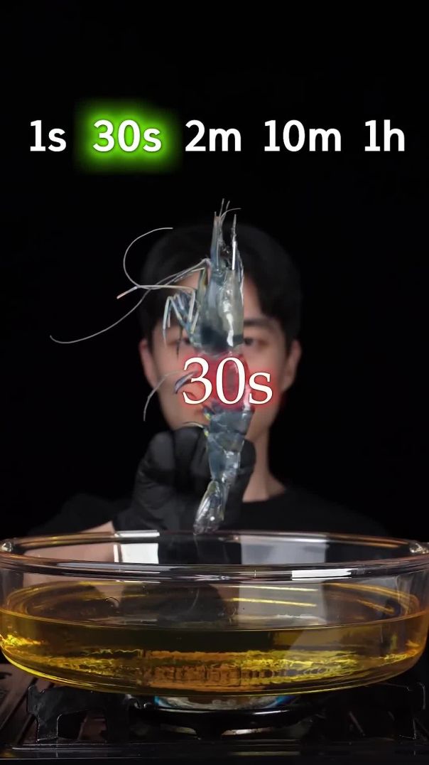 Shrimp_vs_Time_MP4_1080p