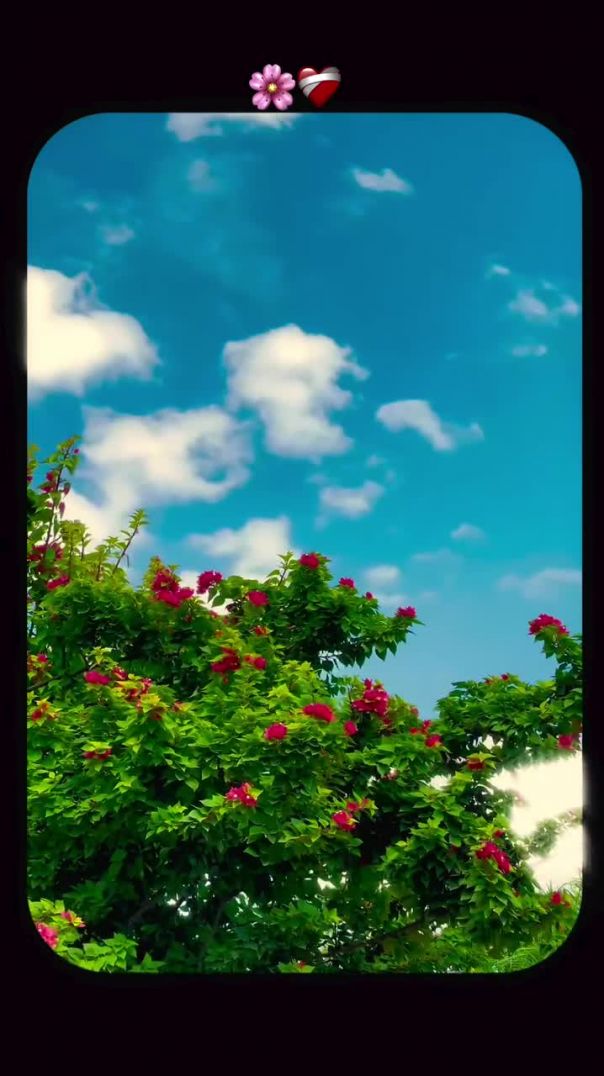 vibes_