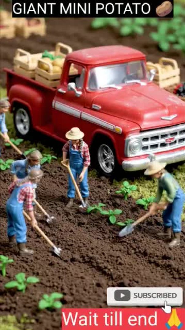 You Won’t Believe This Tiny Potato Farm! new man 🥔  Mini Farming Story #shorts #farming #miniature