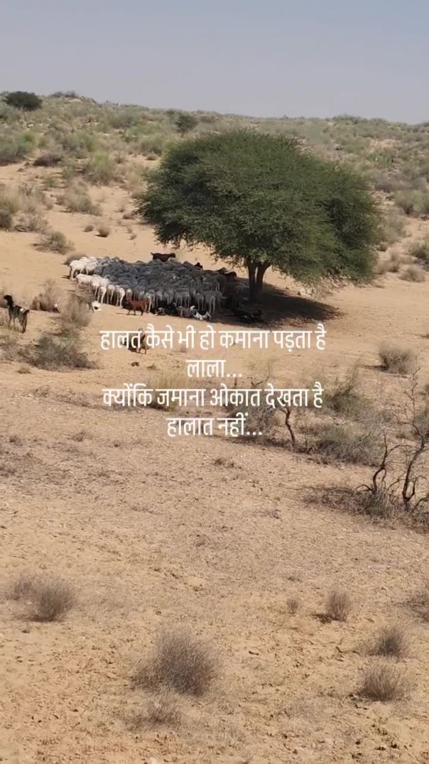 हालत कैसे भी हो कमाना पड़ता है लाला...