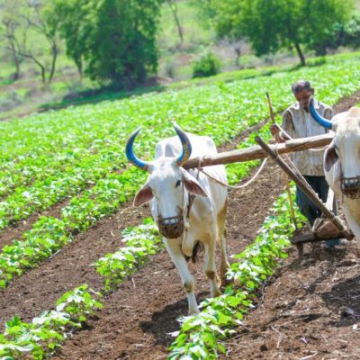 agriculturefarming60 agriculturefarming60